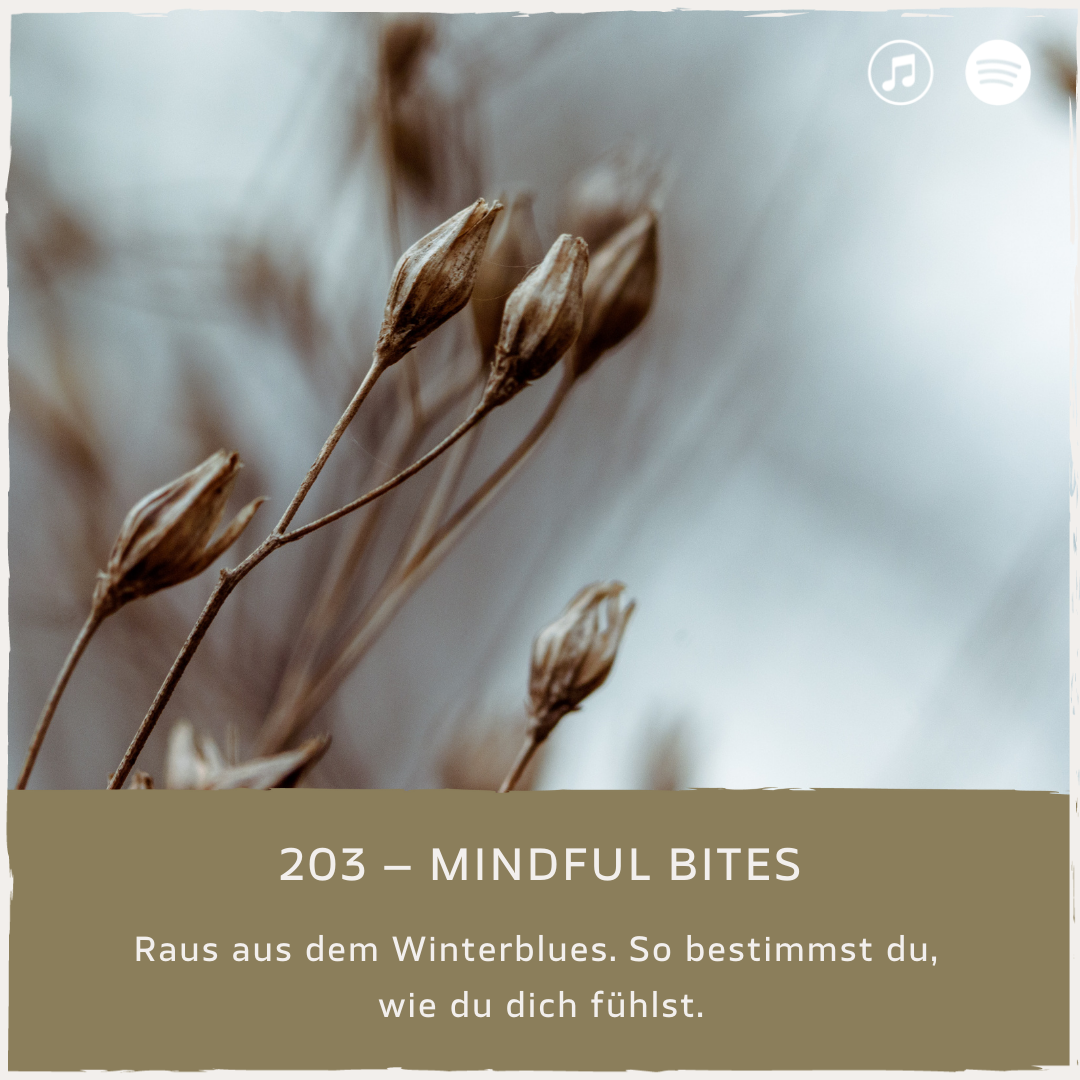 podcast-mindful-minutes-daniela-barchasch-meditation-winterblues