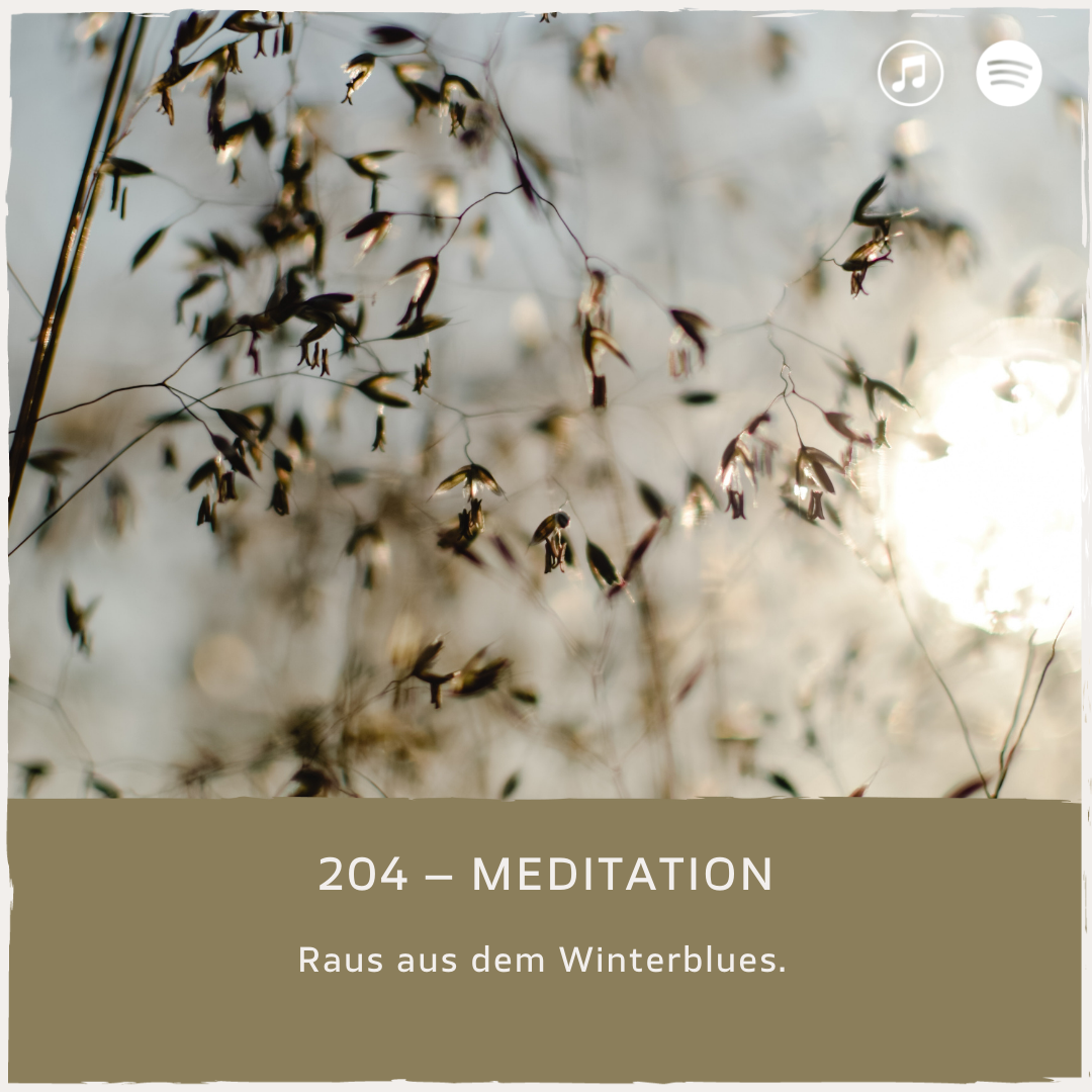 podcast-mindful-minutes-daniela-barchasch-winterblues