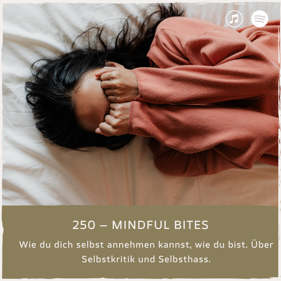 podcast-mindful-minutes-erfolg-mentalprogramm-daniela-barchasch-selbstwert-selbstliebe-lernen