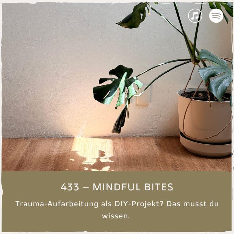 podcast-mindful-minutes-erfolg-mentalprogramm-daniela-barchasch-selbstwert-selbstliebe-mindfulway-mindset-positivepsychologie-perma-modell-selbstwert-bei-mir-sein-persönlichkeitsentwicklung-buddhistische-psychologie-praxis-meditation-achtsamkeit-erfolgspodcast-trauma-gefühle-emotionen-traumata-retraumatisierung