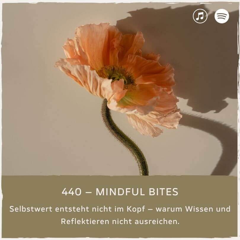 podcast-mindful-minutes-erfolg-mentalprogramm-daniela-barchasch-selbstwert-selbstliebe-mindfulway-mindset-positivepsychologie-perma-modell-selbstwert-bei-mir-sein-persönlichkeitsentwicklung-buddhistische-psychologie-praxis-meditation-achtsamkeit-erfolgspodcast-trauma-gefühle-emotionen-traumata-selbstwert-peoplepleasing