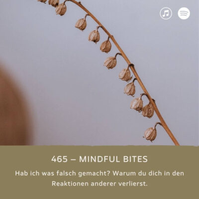 podcast-mindful-minutes-erfolg-mentalprogramm-daniela-barchasch-selbstwert-selbstliebe-mindfulway-mindset-positivepsychologie-perma-modell-selbstwert-bei-mir-sein-persönlichkeitsentwicklung-buddhistische-psychologie-praxis-meditation-achtsamkeit-erfolgspodcast-trauma-gefühle-emotionen-bindungsmuster-beziehungen-bindungsraum